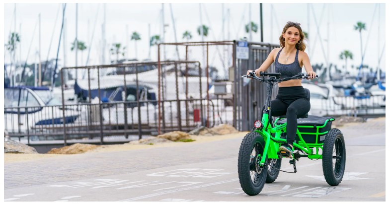 ZizeBikes - Adult Tricycles – What you need to know before buying a perfect one! - Electric Trike is Revolutionizing Delivery Services - Electric Trike is Revolutionizing Delivery Services