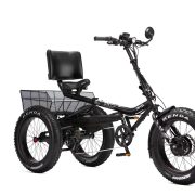 Black Electric Tricycle