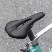 Ascent Bicycle Seat2