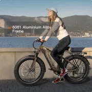 Beagle 2 Ebike1