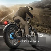 Beagle 2 Ebike4