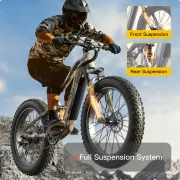 Boxer Ebike1