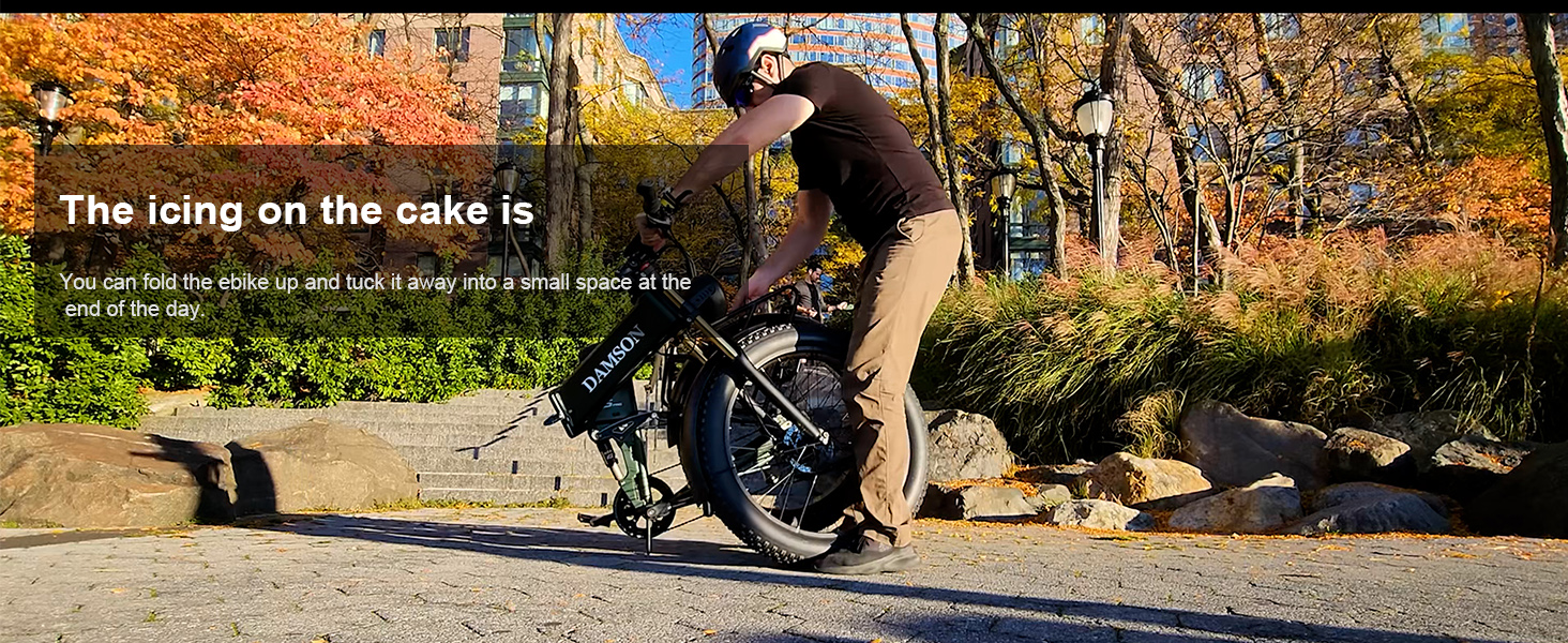 DAMSON R5 Electric Bike for Adults