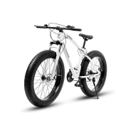 Outroad Fat Tire Mountain Bike