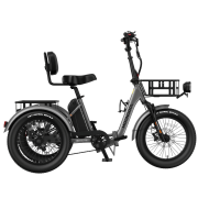 TK2 Pro Electric Trike